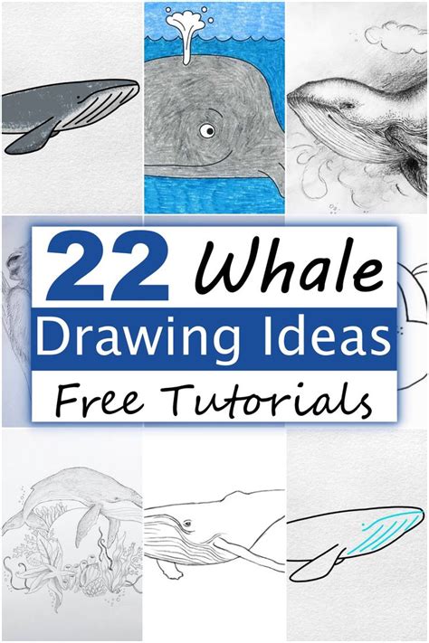 marine life drawing ideas|22 Whale Drawing Ideas For Marine Lovers .